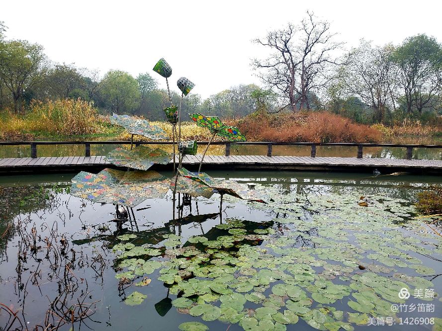 绝美西溪,西溪南冬季景色
