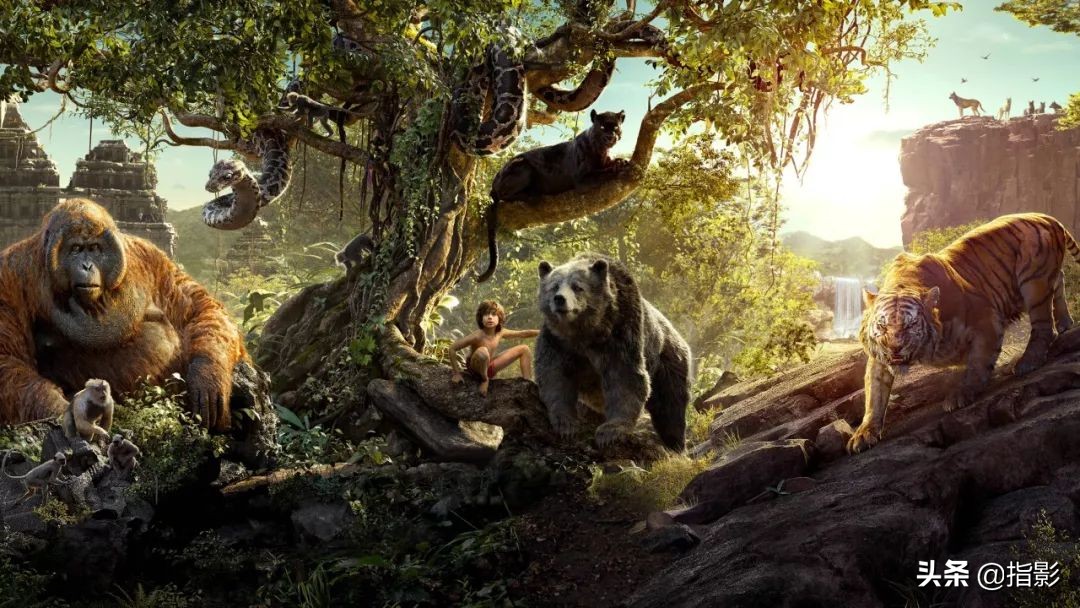 迪士尼与漫威之争,迪士尼漫威星战宇宙