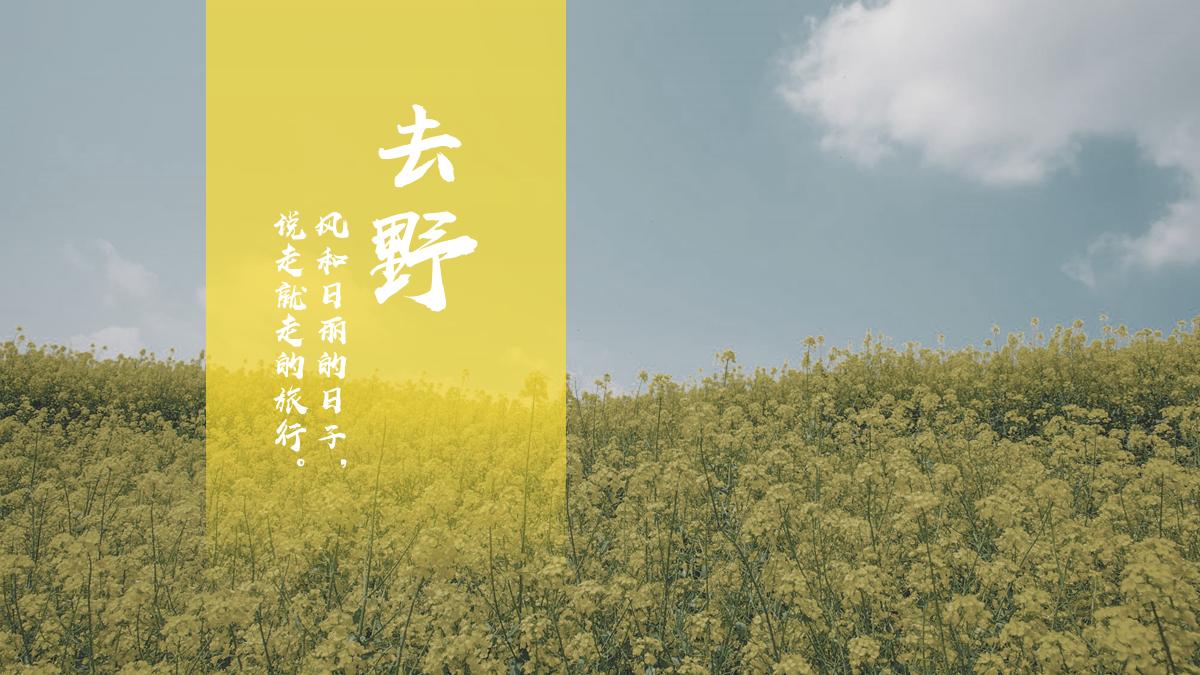 如何制作ppt图片加文字,做ppt时图片不够清晰怎么办