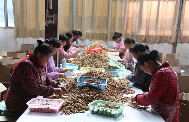 免费农村投资办厂代加工,适合农村创业的四个项目