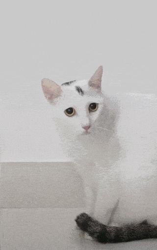 抖音运营干货分享从0到1,抖音干货底层逻辑和推流机制