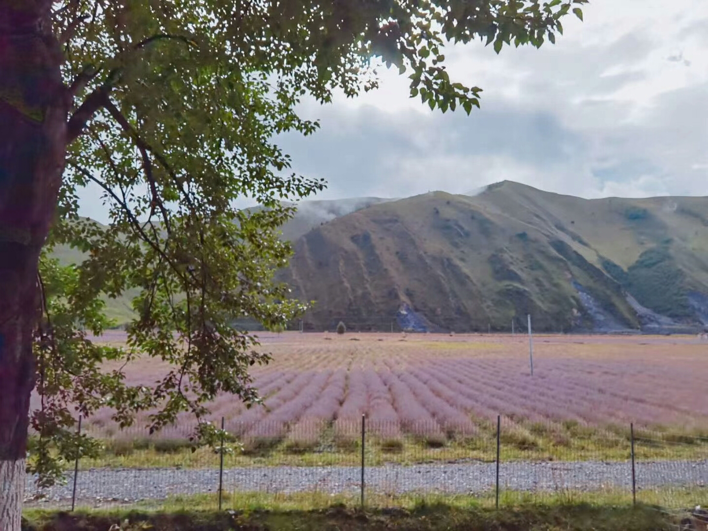 318国道沿途能感受到最明显的变化,318国道沿途的风景有哪些