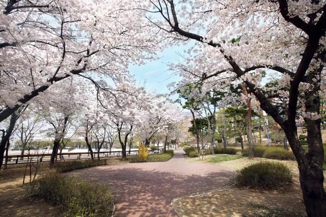 奋达职业学校和奋达厂是一回事吗,奋达职业技术学校与奋达关系