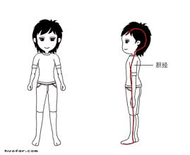 头发油腻是肝的原因吗,头发油腻是体内湿气太重吗