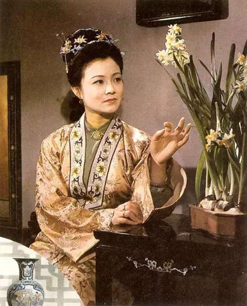 红楼梦贾府媳妇,红楼梦侯门秀女