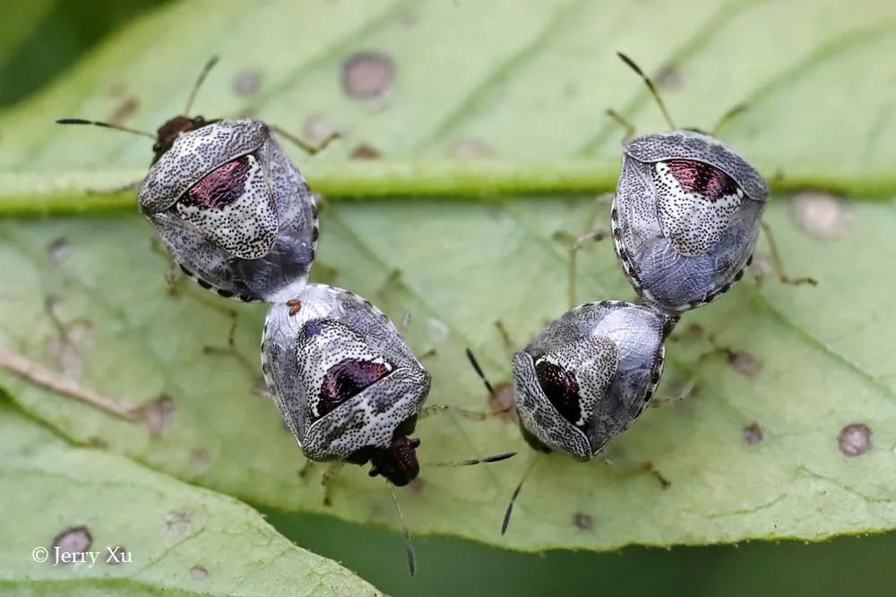 情人节适合干什么事,情人节对方做过最让你感动的事