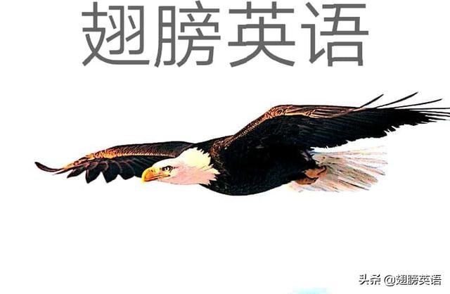 高考作文里能用上这些修饰手法的一鳞半爪阅卷老师就会高看你了