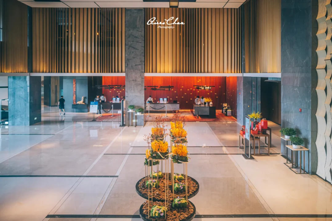 君悦茶颜悦色,长沙君悦茶颜悦色