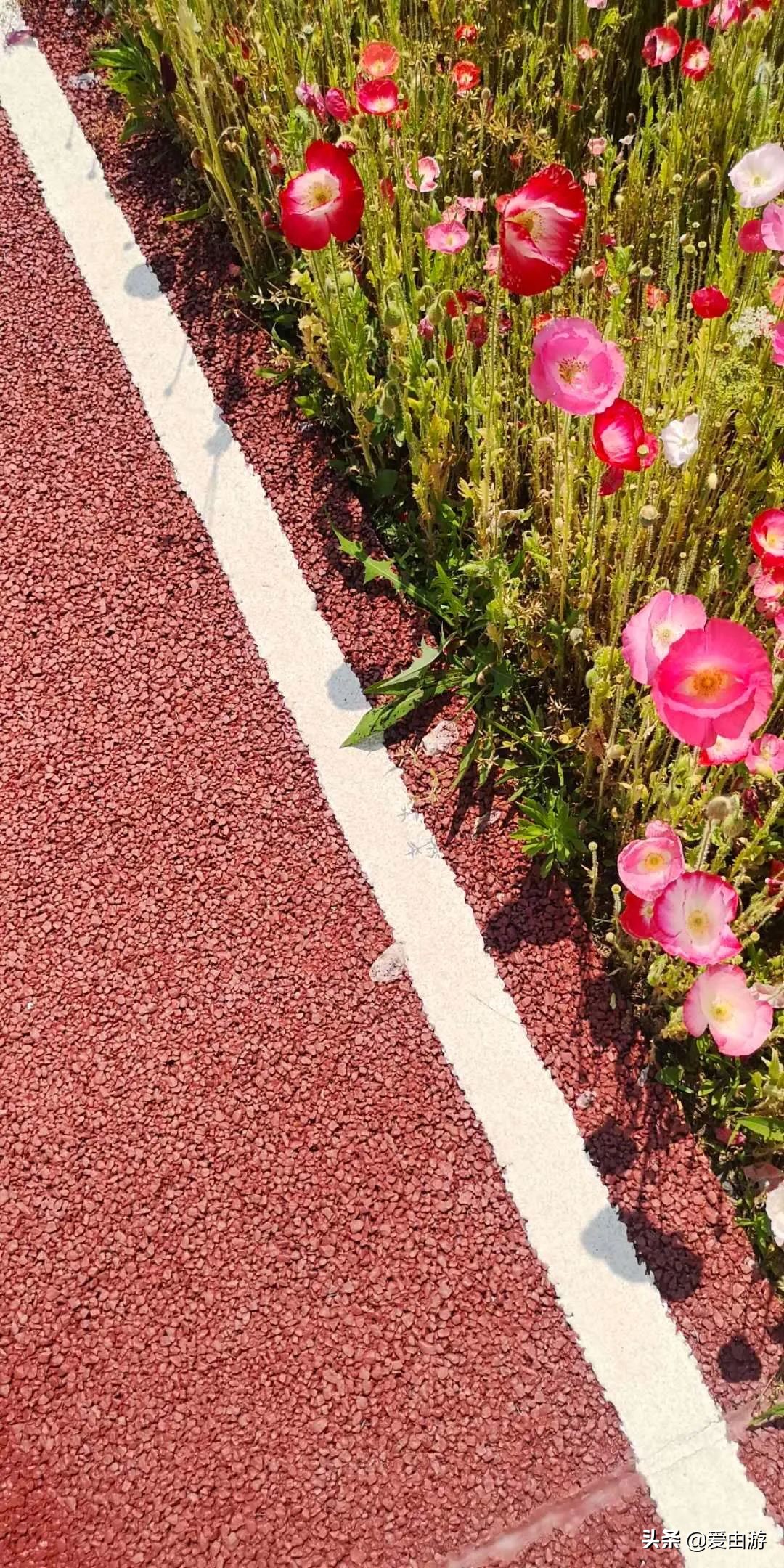 疫情后旅行新玩法,“州”游之衢州四天三夜