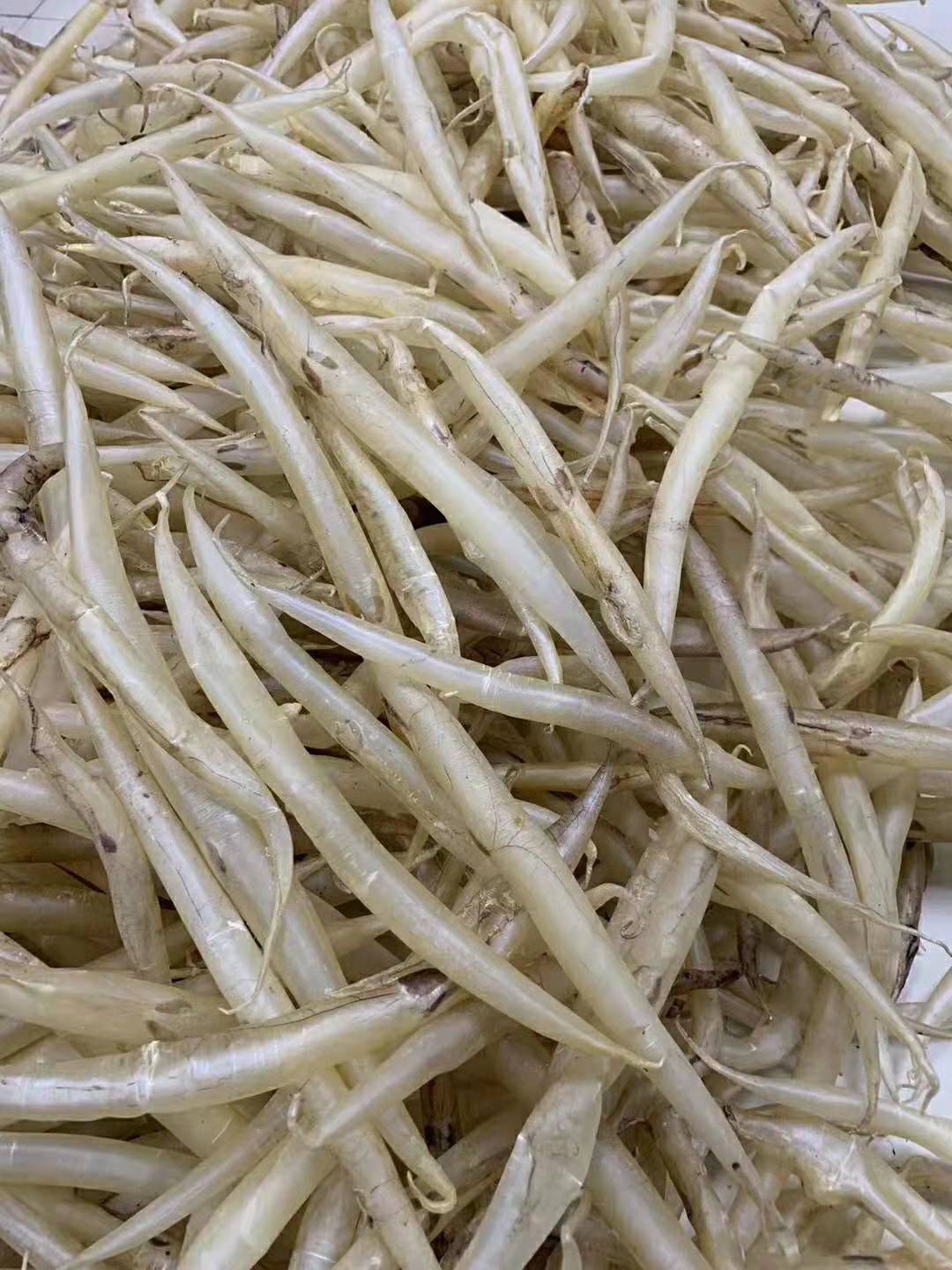 鱼胶花胶区别,花胶鱼胶的种类与区别