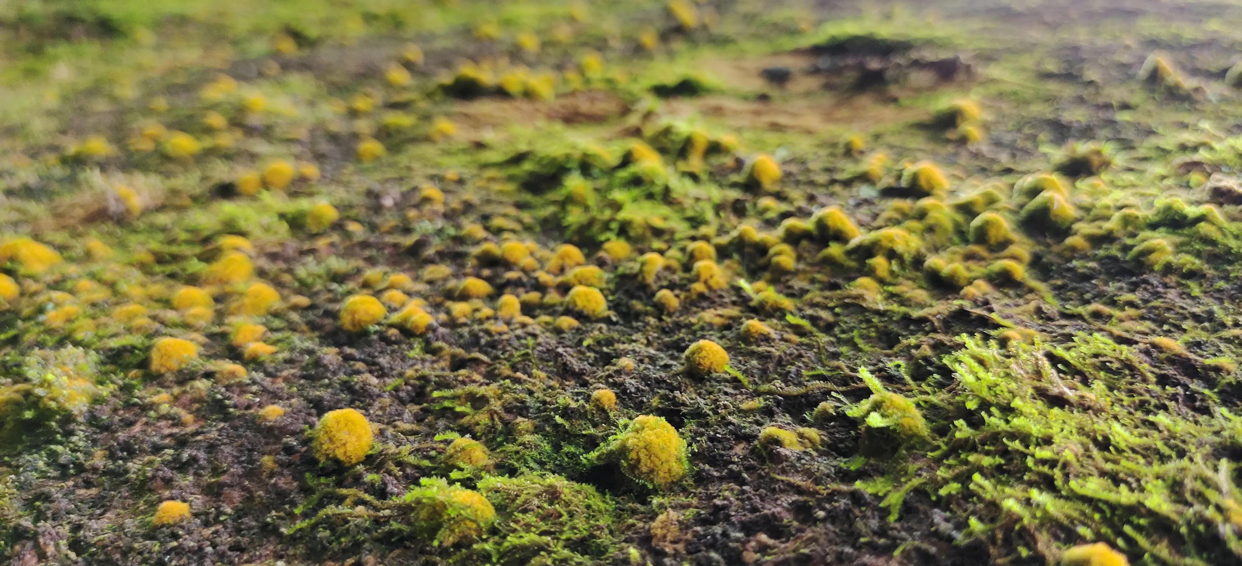 登上绝壁悬崖感受一览众山小,登上泰山之巅的感觉