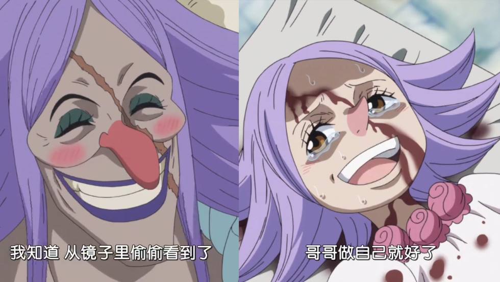 海贼王里的护妹狂魔,海贼王的宠弟狂魔