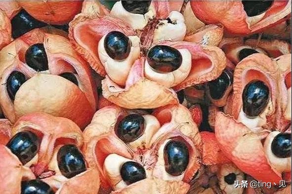 世界上最像恶魔果实的水果,盘点有价值的水果堪比恶魔果实