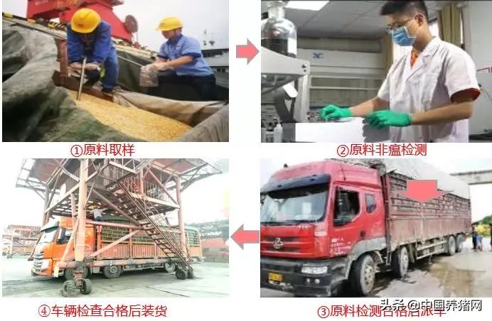 双胞胎饲料评价怎样,双胞胎饲料厂生产技术怎么样