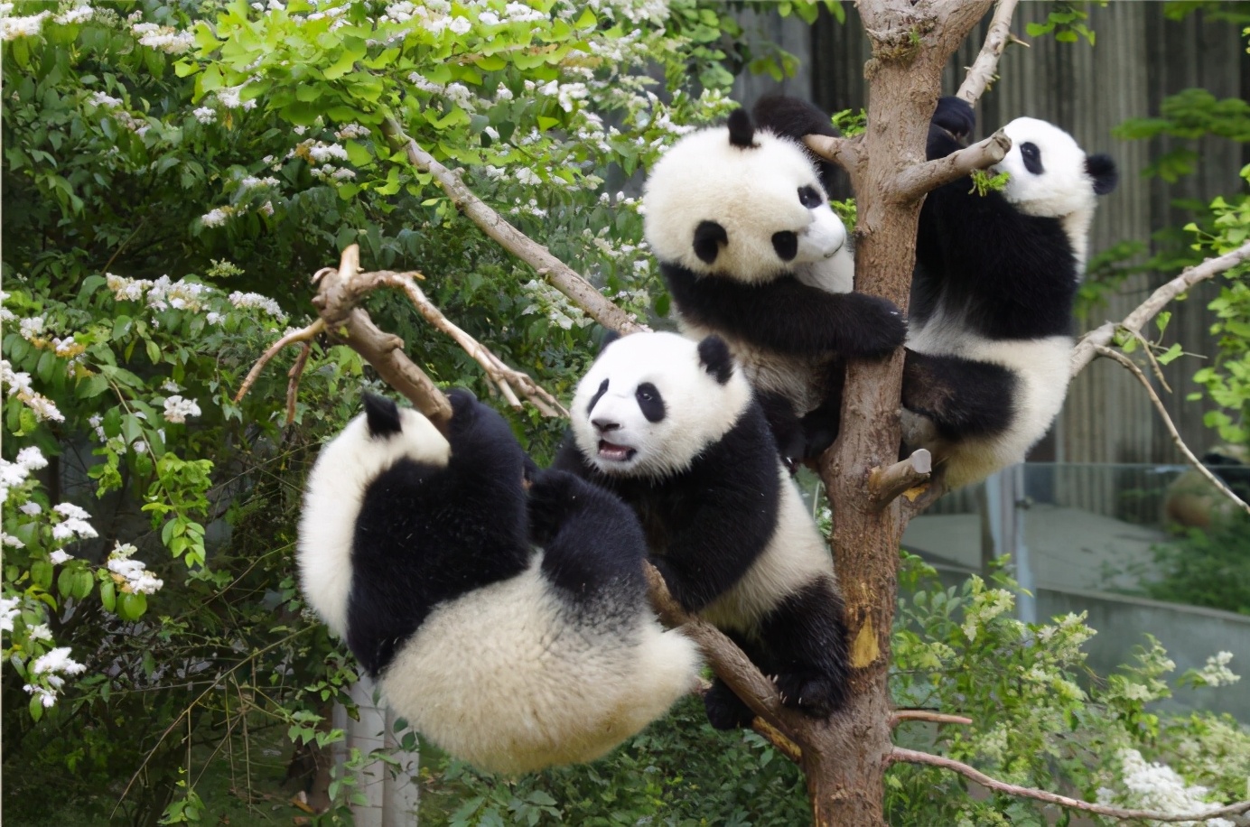 宅家过年也要嗨起来,宅家过年也要精彩