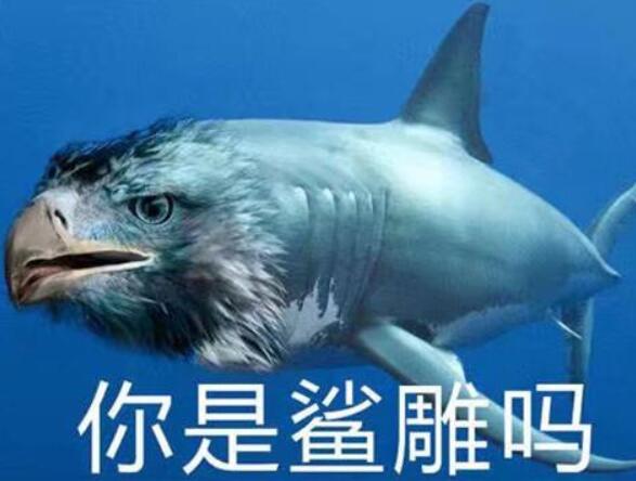 要不,把体能不合格的高三学生,取消高考资格吧