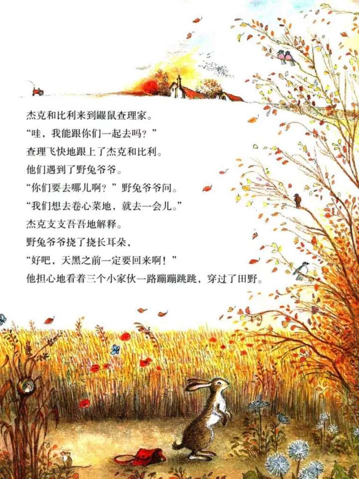 稻草人儿童绘本是告诉孩子什么,孤独的稻草人绘本完整版