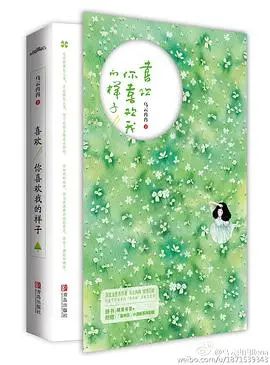 伪兄妹文的小说有哪些,文笔超赞的伪兄妹文