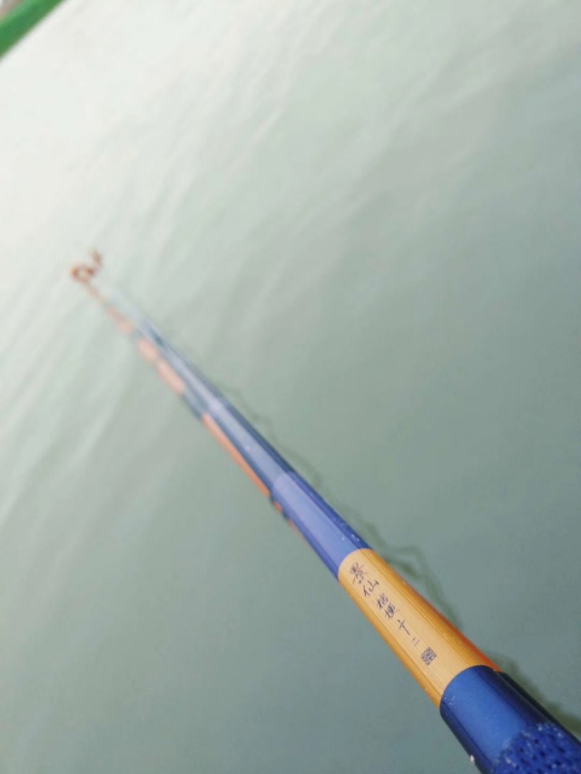 钓鱼新手入坑指南,新手钓鱼入坑建议路滑吗