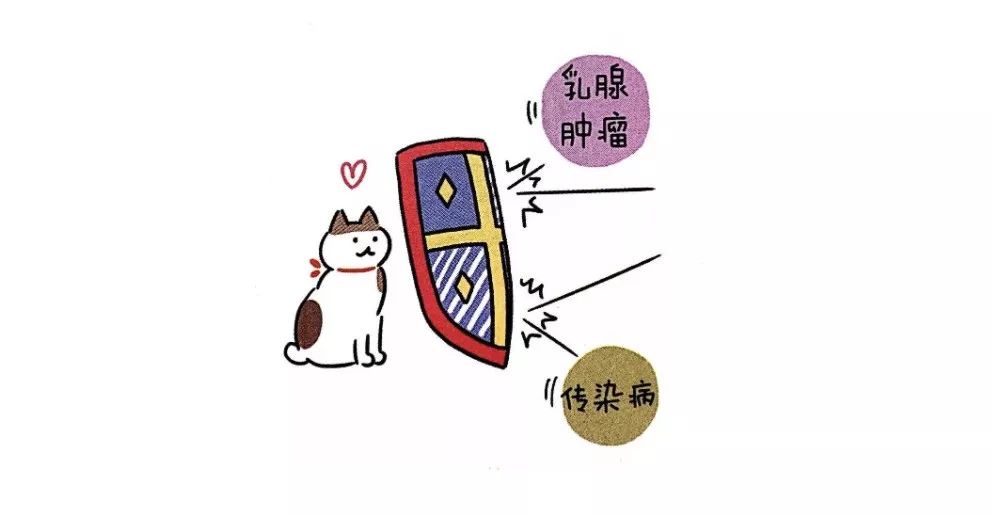 猫咪绝育后性格会改变吗,猫咪什么时候做绝育最好