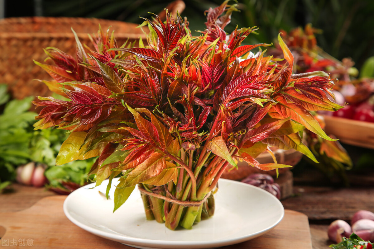 香椿的保存方法香椿酱怎么做,香椿用真空袋保存能放多长时间