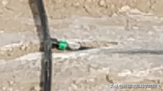 滴灌带阻塞怎么处理,滴灌带堵塞的表现