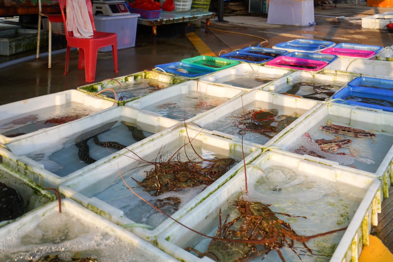 海南文昌温德姆酒店,文昌温德姆酒店排名