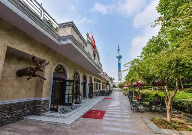 新手入门快速了解文玩,收藏知识大全