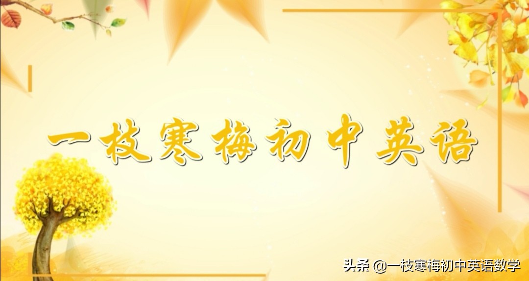 人教版英语八年级下册必考作文,人教版八年级下册英语3单元作文