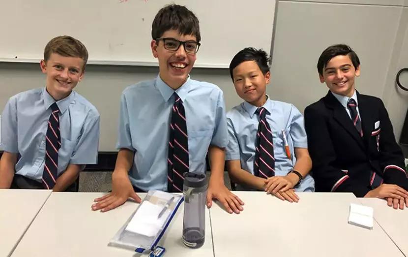 克兰布鲁克学院,布鲁可学院