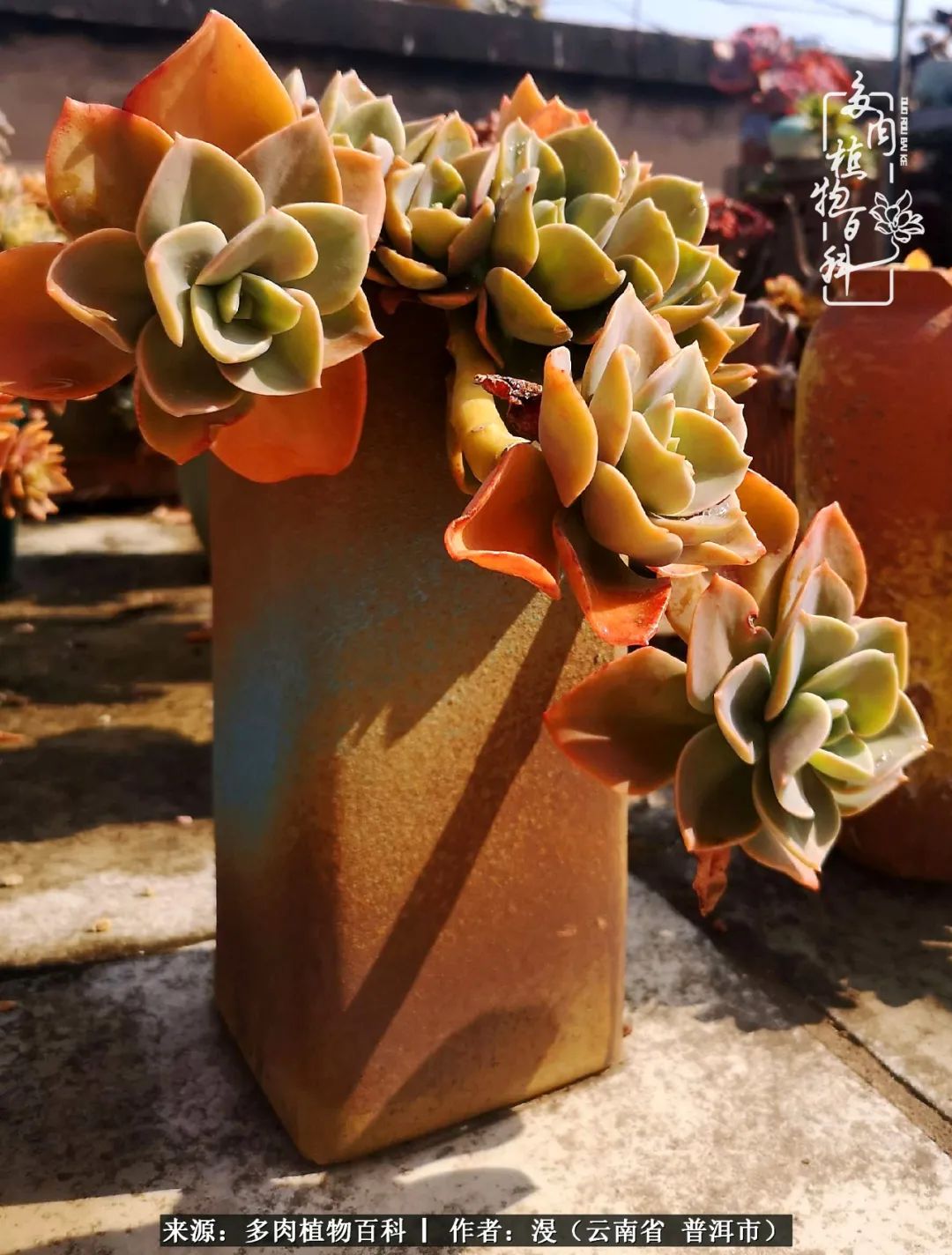 风过留痕讲的啥,风过留痕朗诵