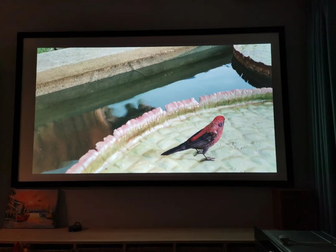 盘点前十名高颜值宝藏好物,10件宝藏好物推荐