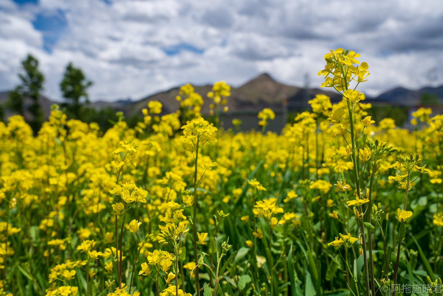 拉萨小众寺庙视频,拉萨最美的寺庙
