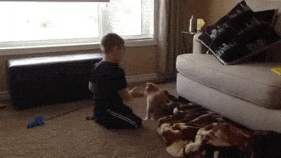 搞笑动图gif微信表情包2019,搞笑动图笑得肚子痛