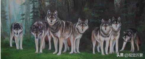 娌傝挋姘戜織灏忚,娌傝挋缁忓吀鏁呬簨