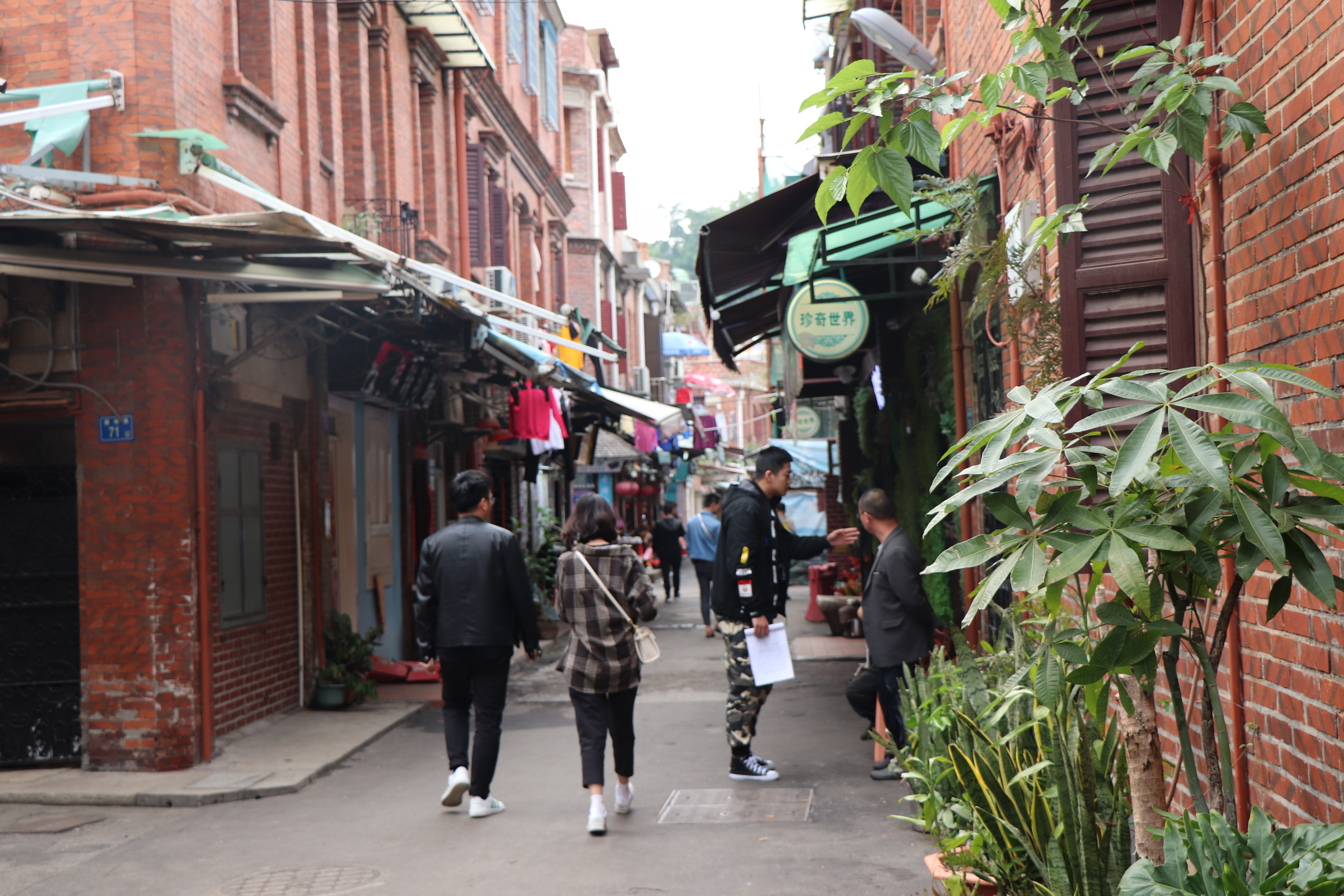 鼓浪屿的游玩攻略及费用 (鼓浪屿旅游攻略自由行最佳线路图)
