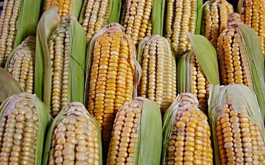 土特产网店平台有哪些,土特产在哪个平台比较好卖