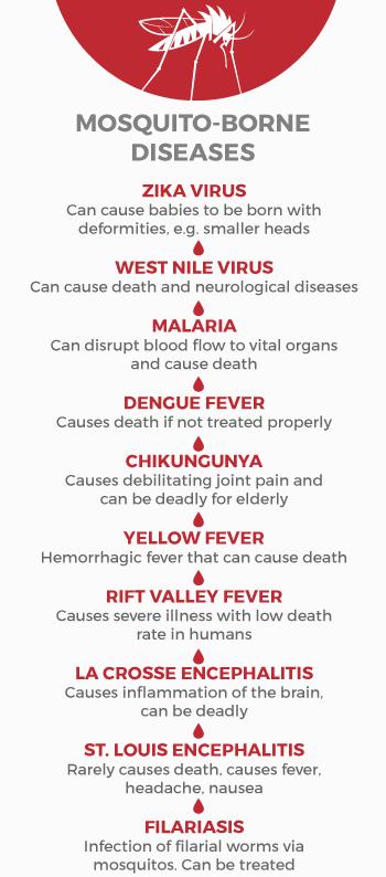 令你深恶痛绝的蚊子，也不过是病毒的傀儡