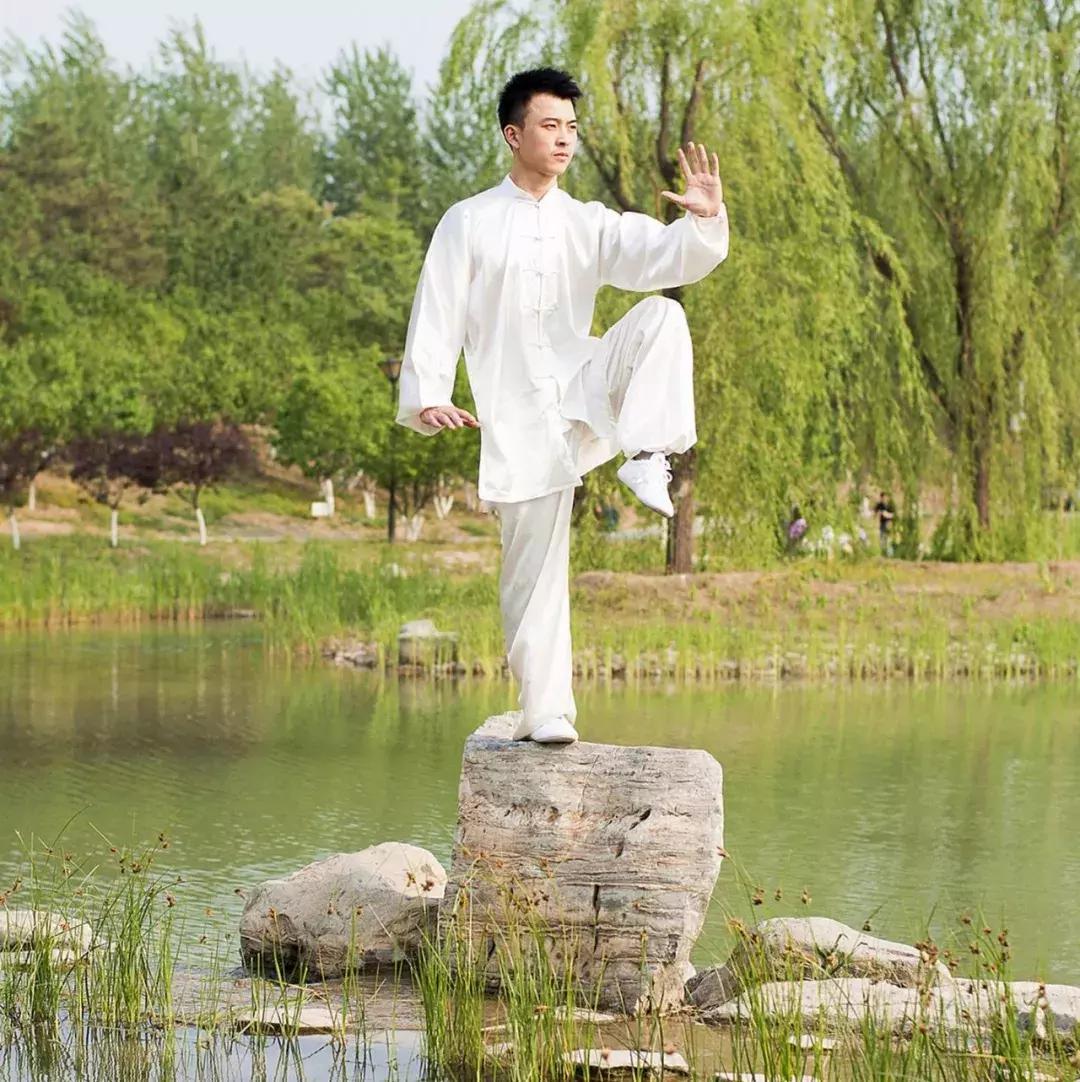 梅花桩传人韩建中视频,梅花桩韩建中徒弟名单