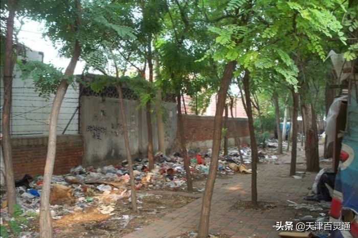 天津的早市儿有哪些,津沽最好的早市