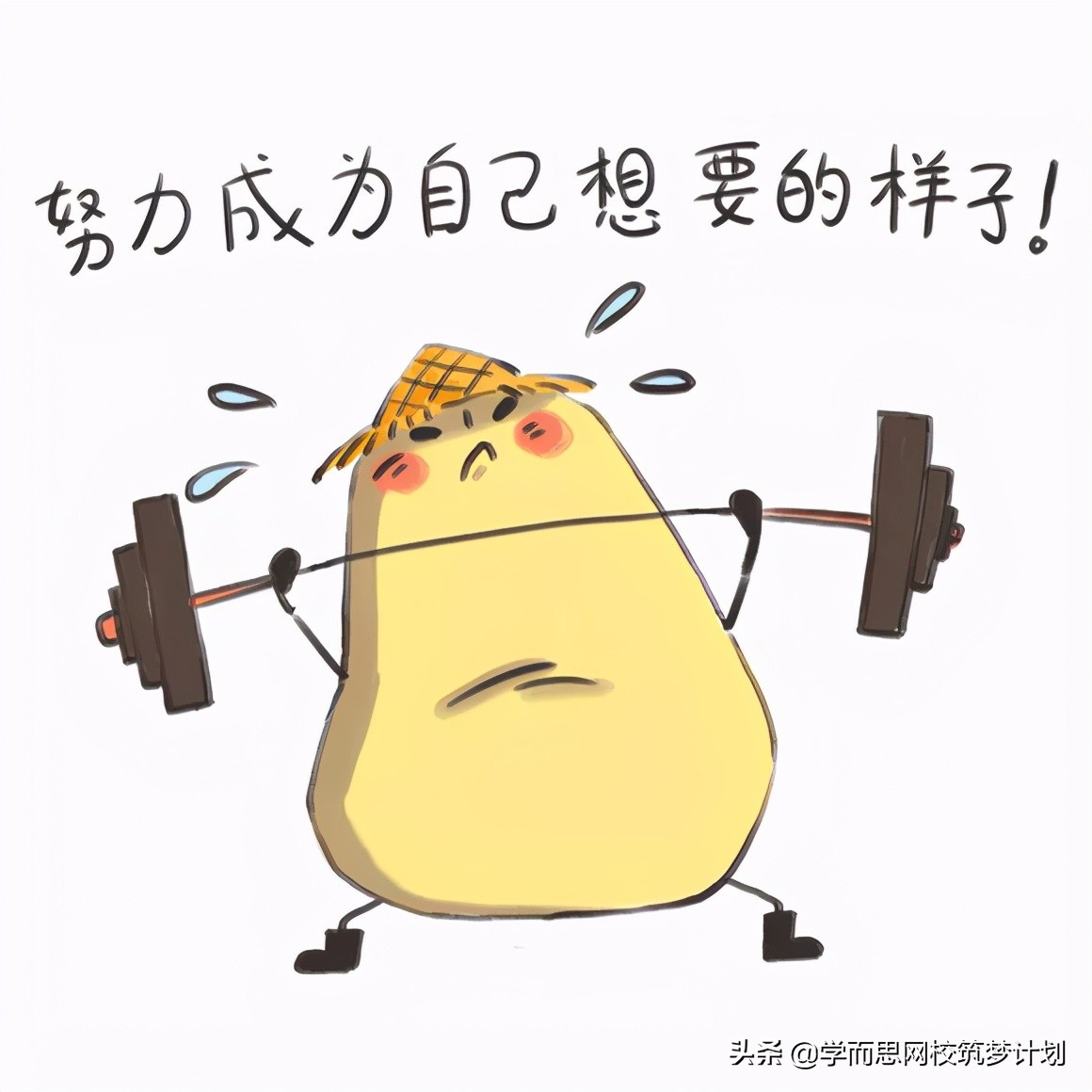 数竞该不该学?怎么学?国集学长做了这些总结,含书单推荐