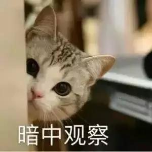 给孩子们一点色彩,与亲子沟通的技巧