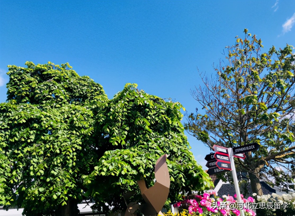 移民新西兰生活攻略,移民新西兰留学攻略