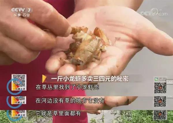 自己跑生意,自己跑业务做什么生意好