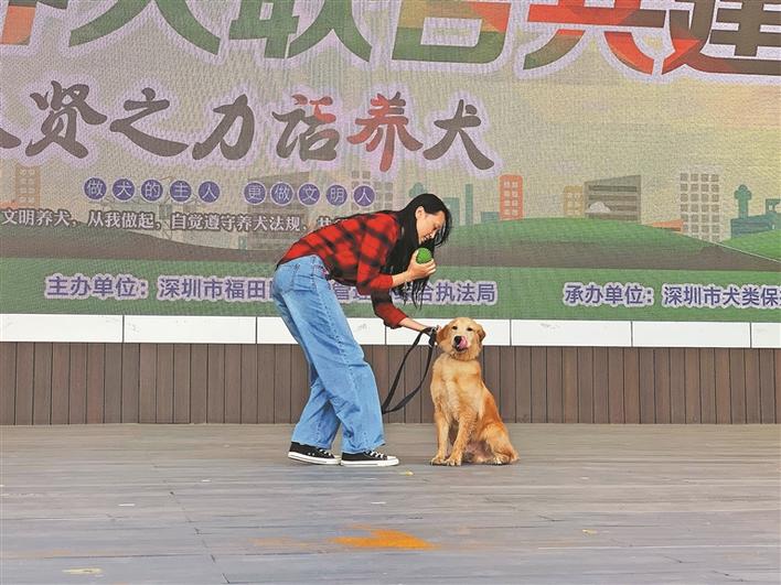 深圳福田区城管局在什么地方,深圳市城管局福田分局
