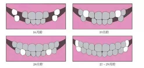 一岁多宝宝乳牙内侧长牙,宝宝一岁还没出第一颗牙怎么办