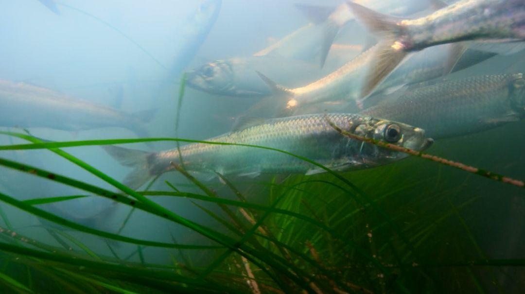 网飞2020高分电视剧排行榜,网飞高分剧排行榜在哪看