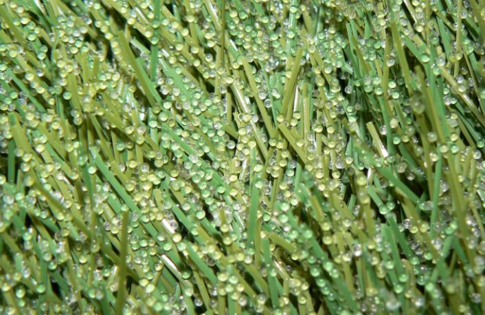 娆ф床姊矆,涓浗姊矆