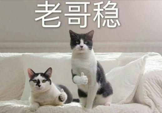 皓王/WHITOP电动牙刷，实力国货三年质保