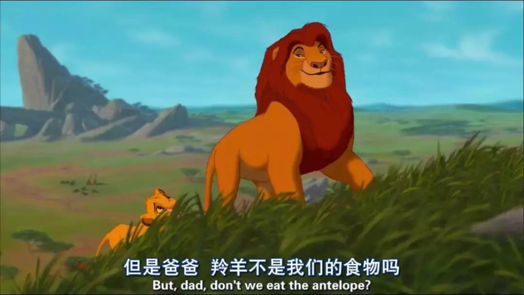 真实版的狮子王,现实版狮子王比想象的更残酷